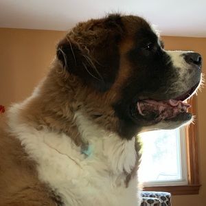 Meet your Posher, Ken